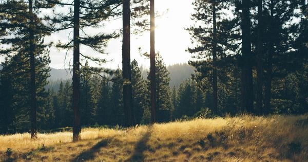‘The day begins with endings': A new book of poetry about topography, time, and shifting identities