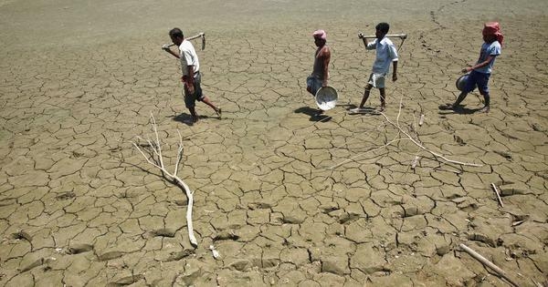 Maharashtra: 767 farmers died by suicide in first three months of 2025