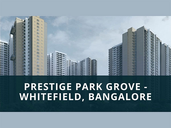 Bengaluru joins global tech elite with 1 million-strong workforce: CBRE report