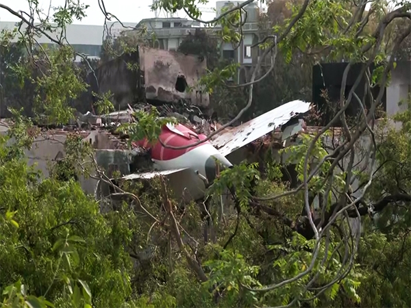 One pilot asked the other about fuel cutoff seconds before crash, says preliminary AI171 crash report