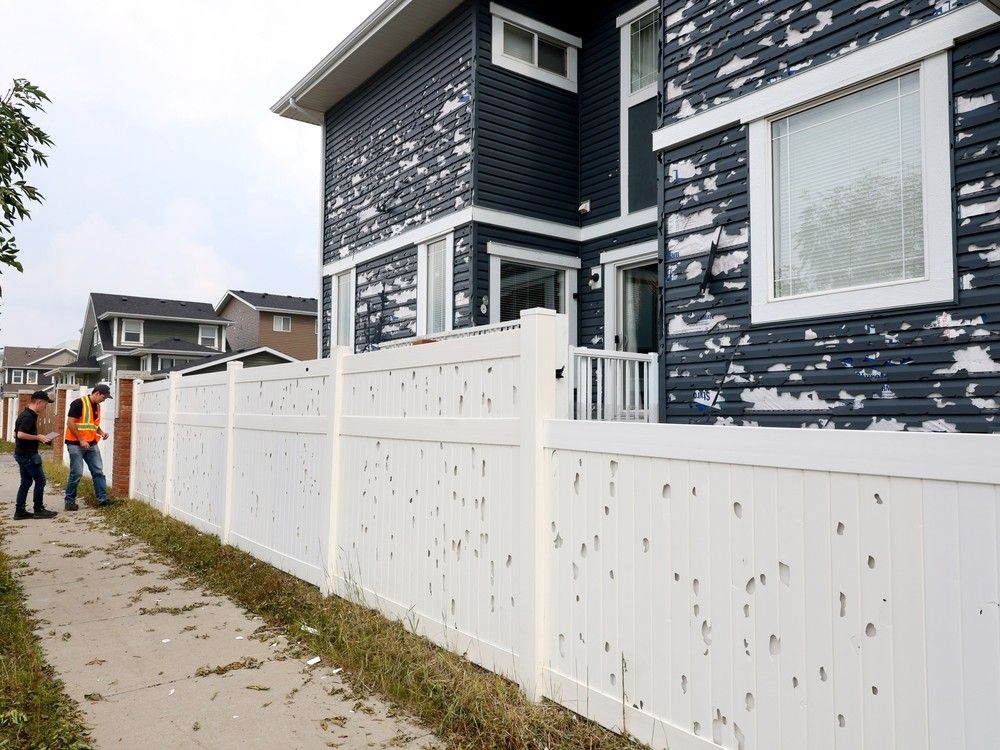 Council supports hail resilience program — but no funding for it