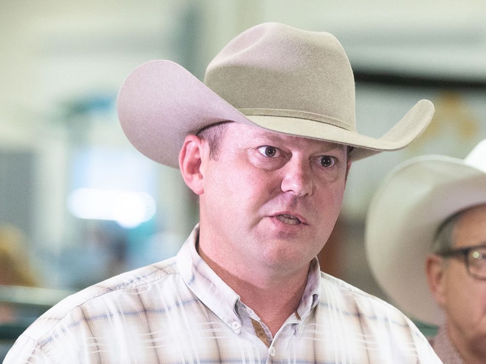 'Time to put emotions aside': Alberta's case against retaliatory tariffs