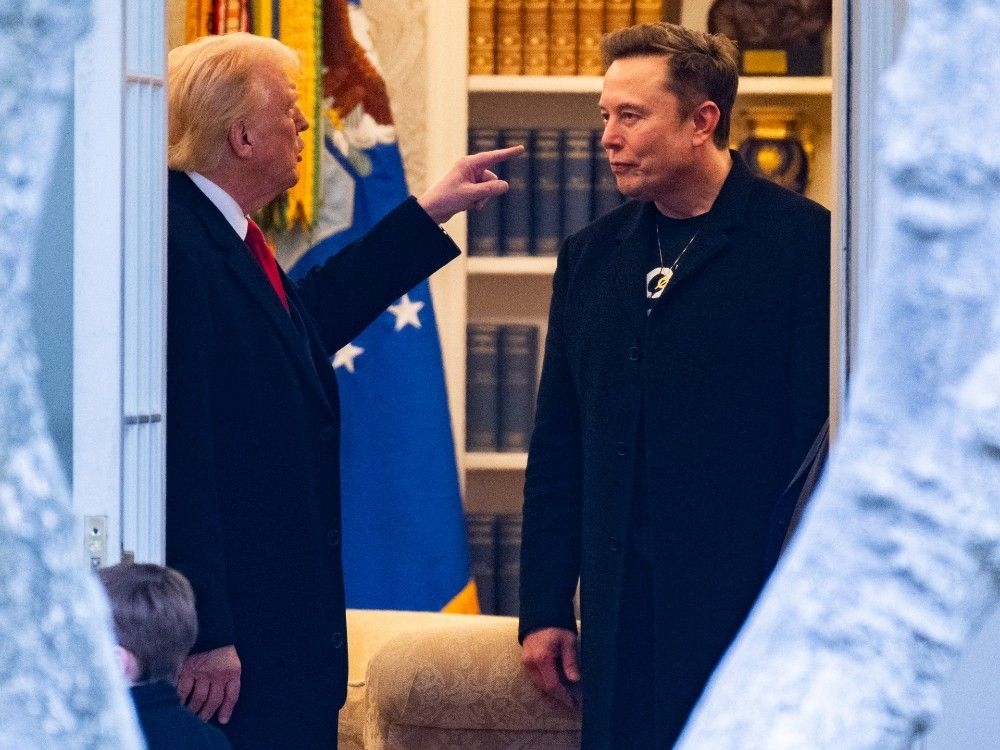 Trump will 'take a look' at deporting Musk: 'We might have to put DOGE on Elon'