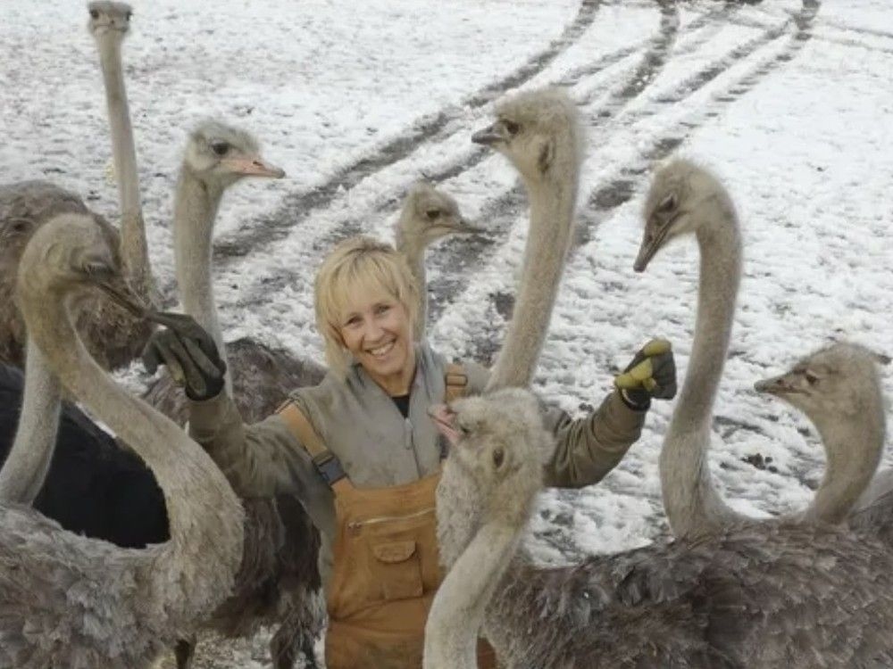 Federal Court of Appeal to hear arguments in B.C. ostrich farm avian flu case