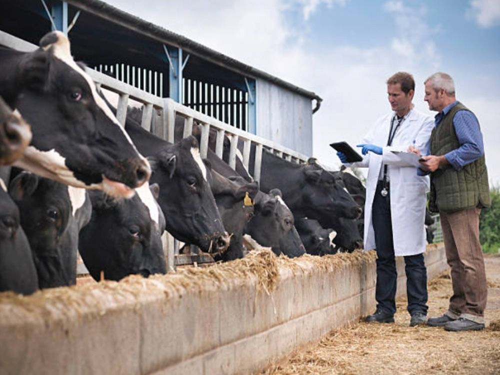 DE LUCA-BARATTA: Canada's other supply management problem