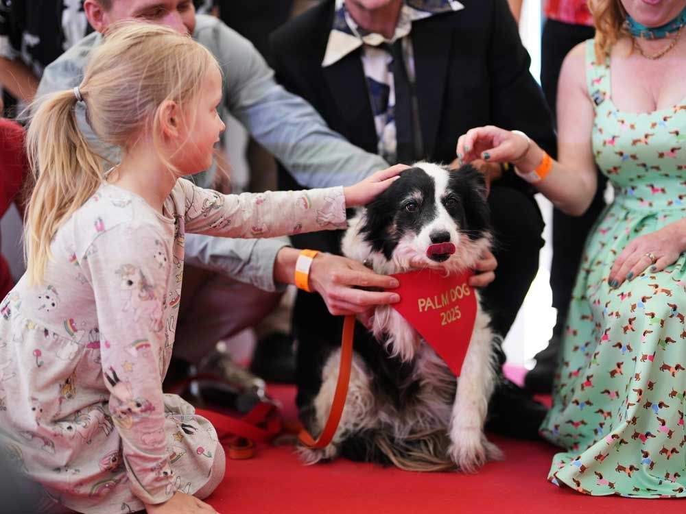 Panda wins the 2025 Palm Dog award at Cannes - and a look-alike accepts
