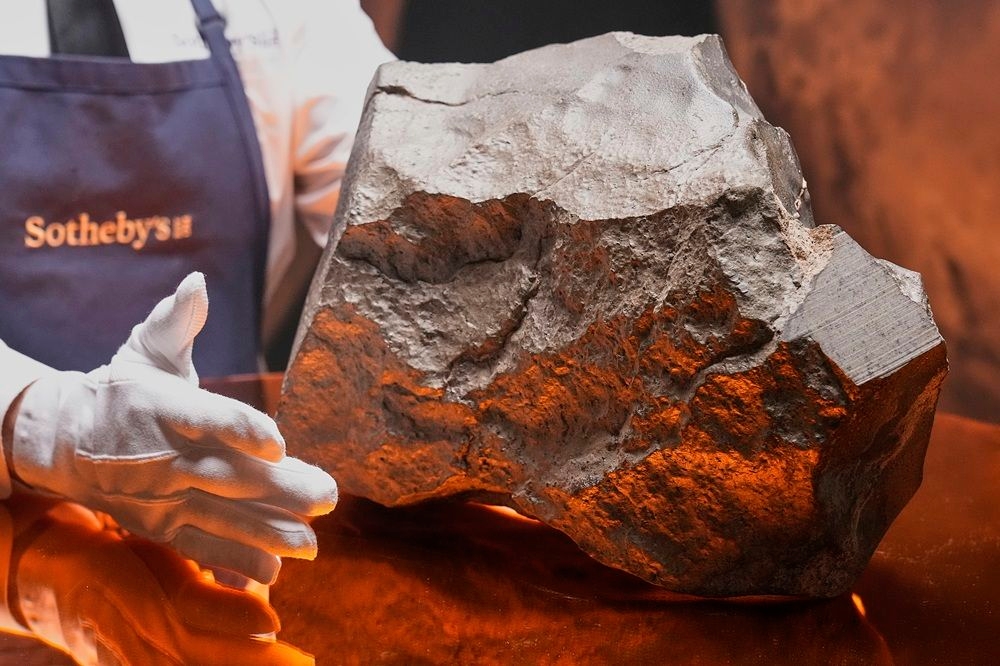 Largest piece of Mars on Earth fetches $5.3 million at auction, but young dinosaur steals show