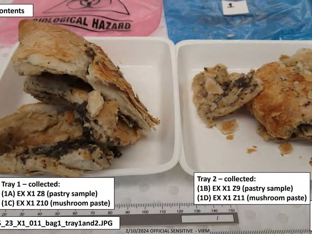 Australian mushroom cook is convicted of triple murder after serving a fatal beef Wellington lunch