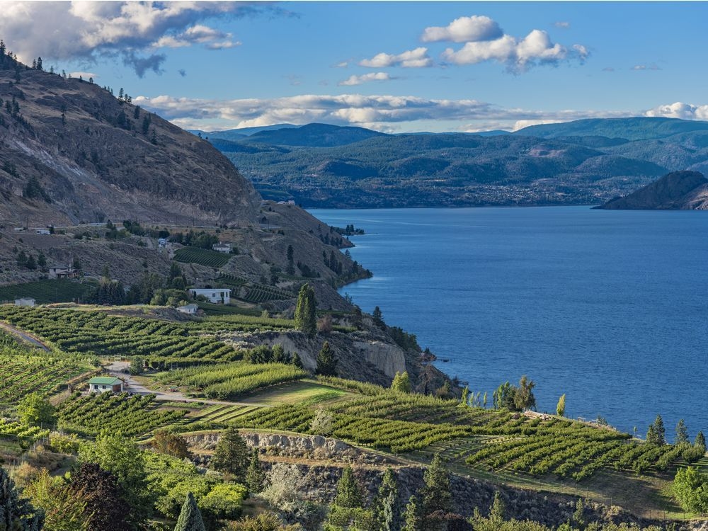 Heat warning issued for large portion of B.C. Interior