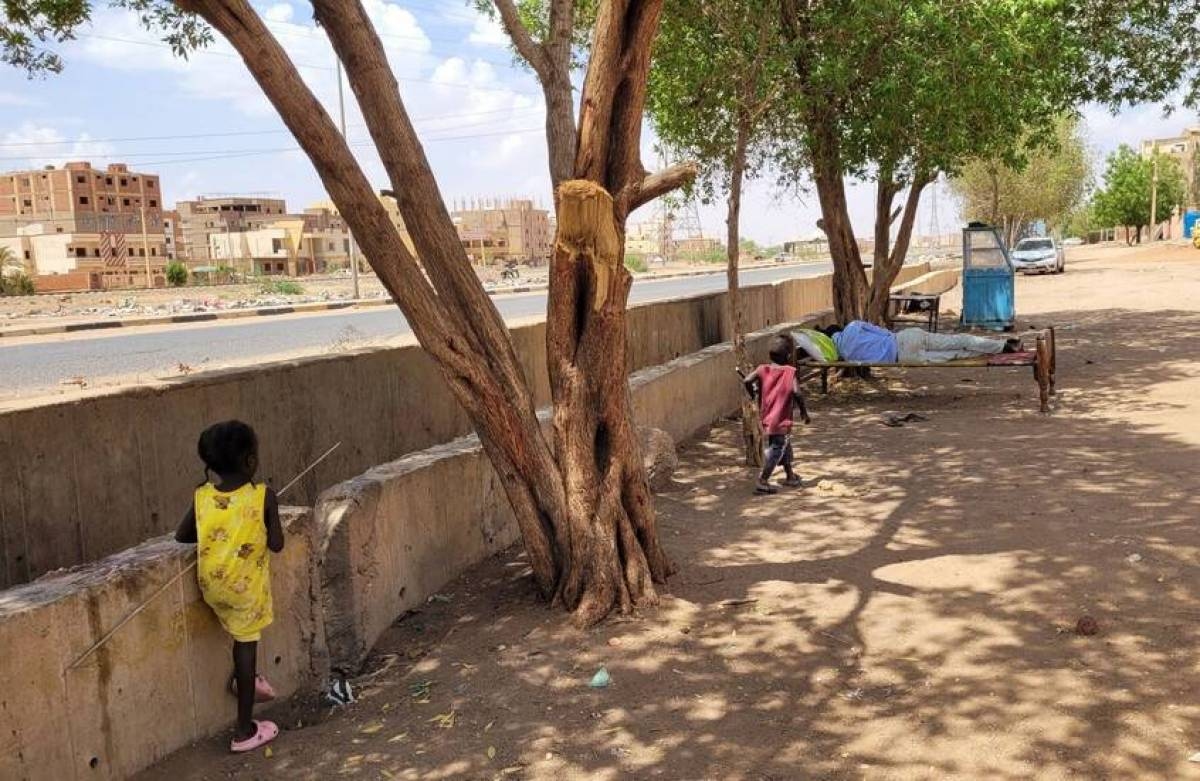 صراع لا نهاية له في دارفور.. جرائم حرب وعنف جنسي وانهيار غذائي