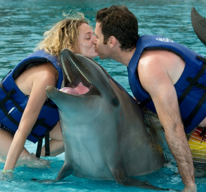 Mexican lawmakers vote to ban dolphin shows