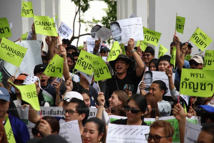 Cannabis curbs 'won't lead to monopoly'