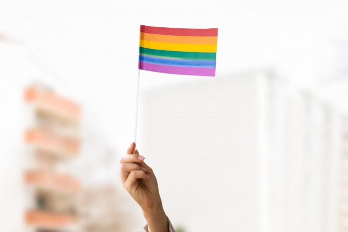 PRIDE IN ACTION