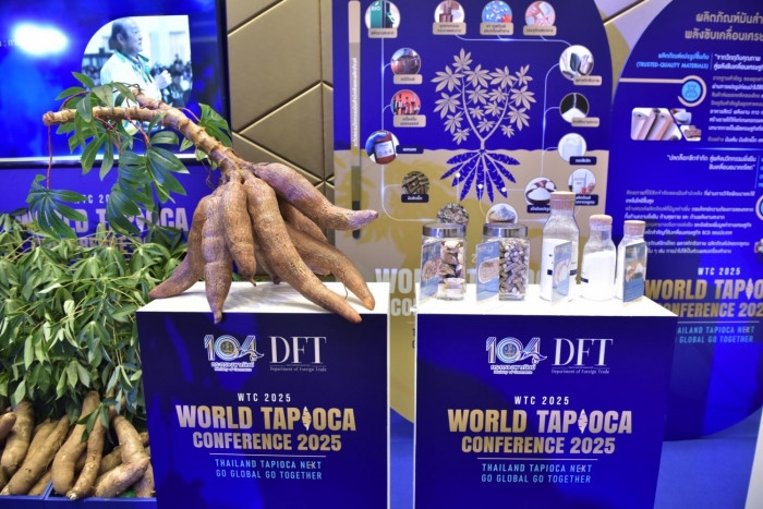 US tariffs yet to hit cassava exports