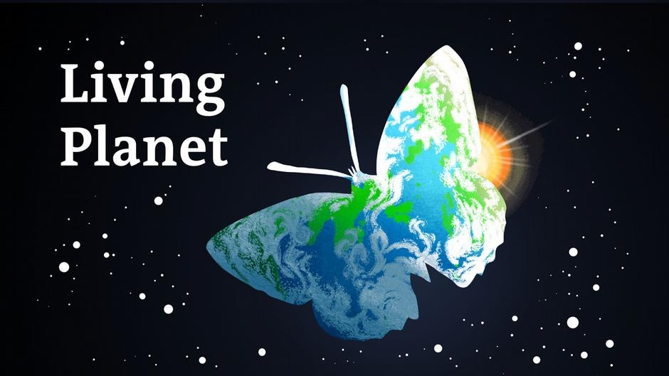 Introducing: Boiling Point – DW – 06/20/2025