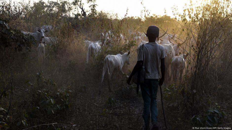 Nigeria: Gunmen kill at least 100 in Benue state – DW – 06/15/2025