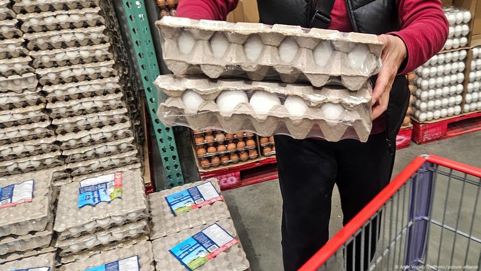 US: Trump administration sues California over egg prices – DW – 07/10/2025