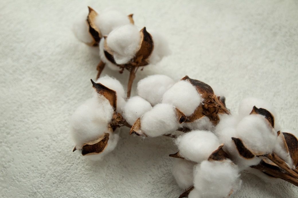 ICE cotton weakens on favourable Texas weather, sluggish export sales