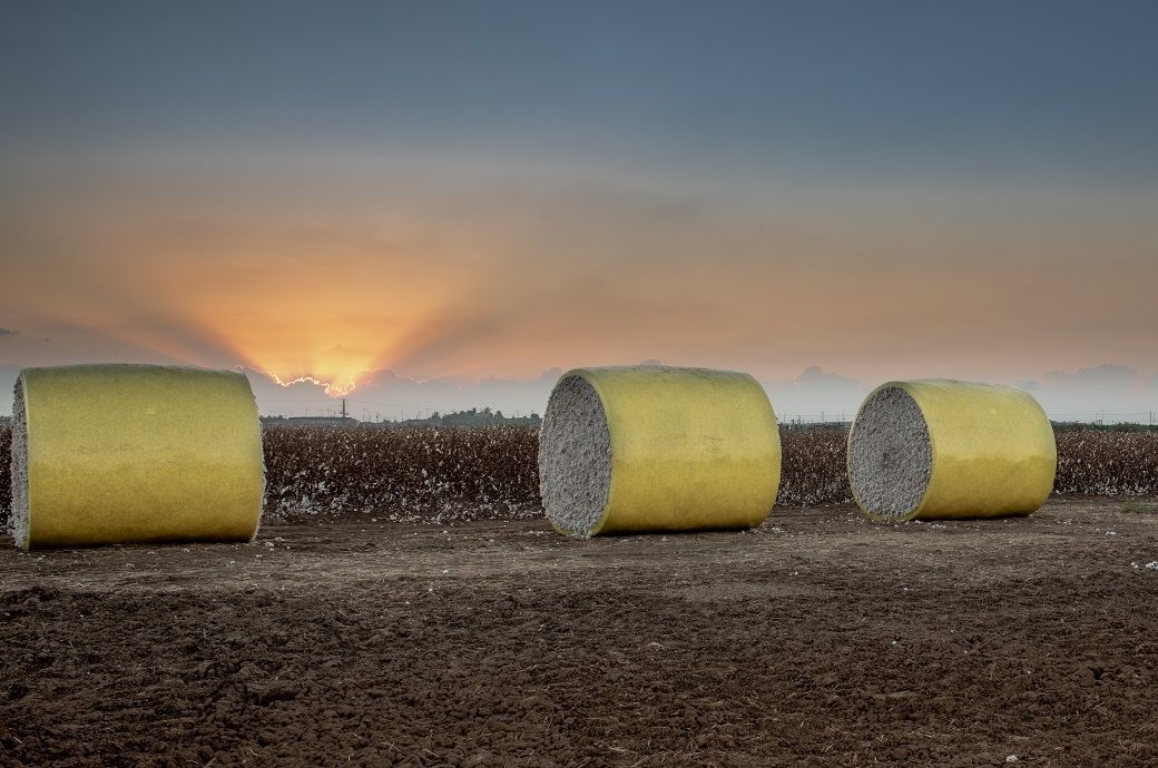 US Upland, Pima cotton sales down, shipment also drop this week: USDA