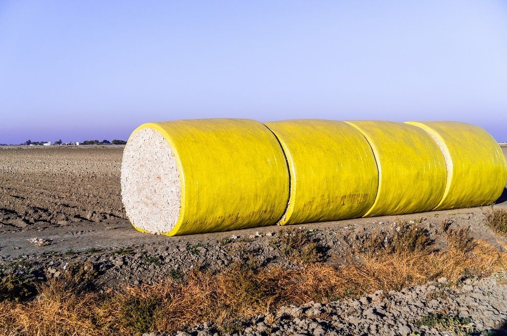 US Upland cotton sales dip sharply, but Pima up: USDA
