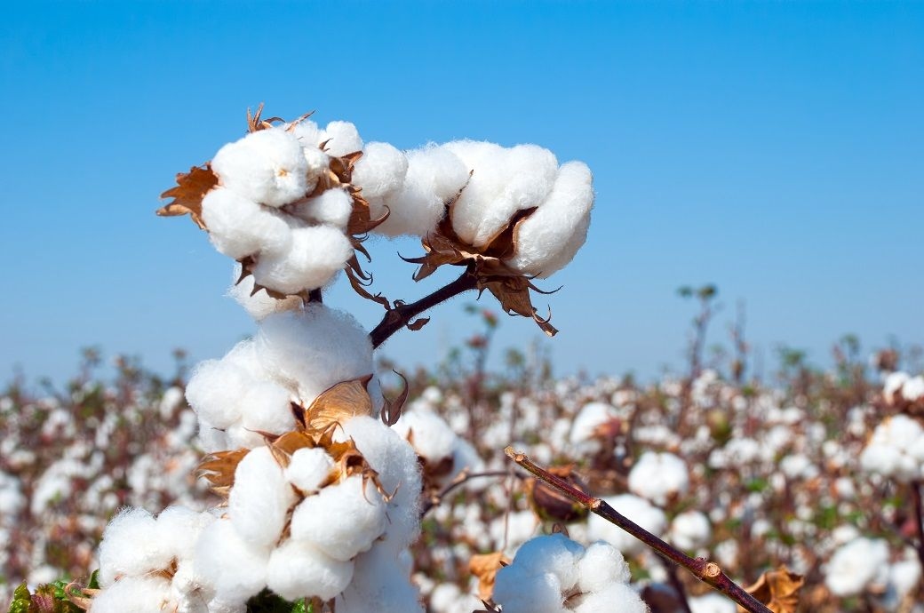 Bangladesh's NBR withdraws advance income tax on import of fibres