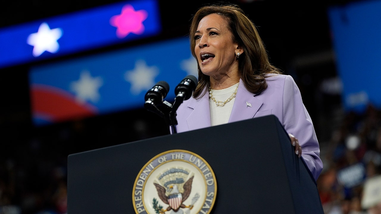 Democratic Party's autopsy report of 2024 election will avoid asking if Harris should have run