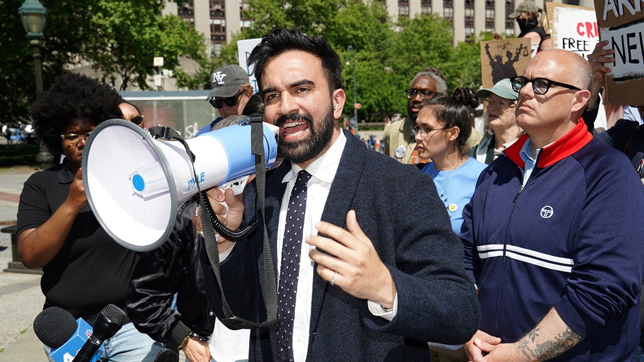 New York Democrat says mayoral candidate Zohran Mamdani 'too extreme to lead'