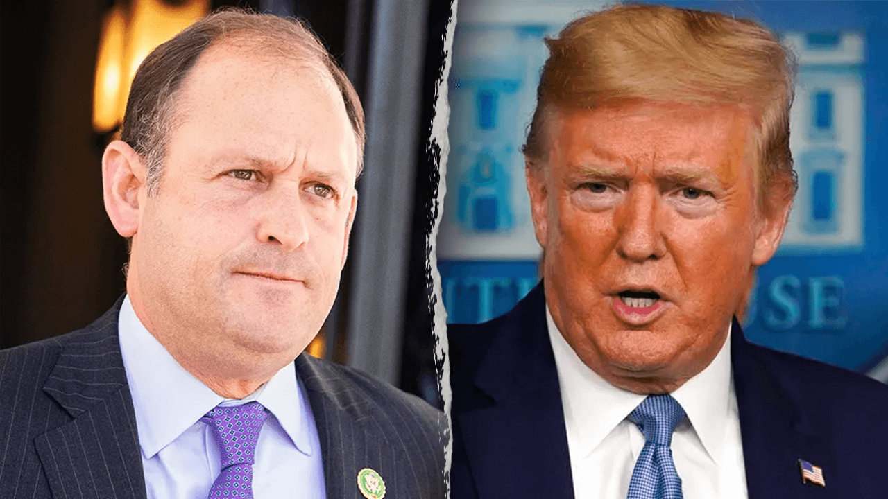 Republican introduces amendment to end birthright citizenship ‘once and for all'