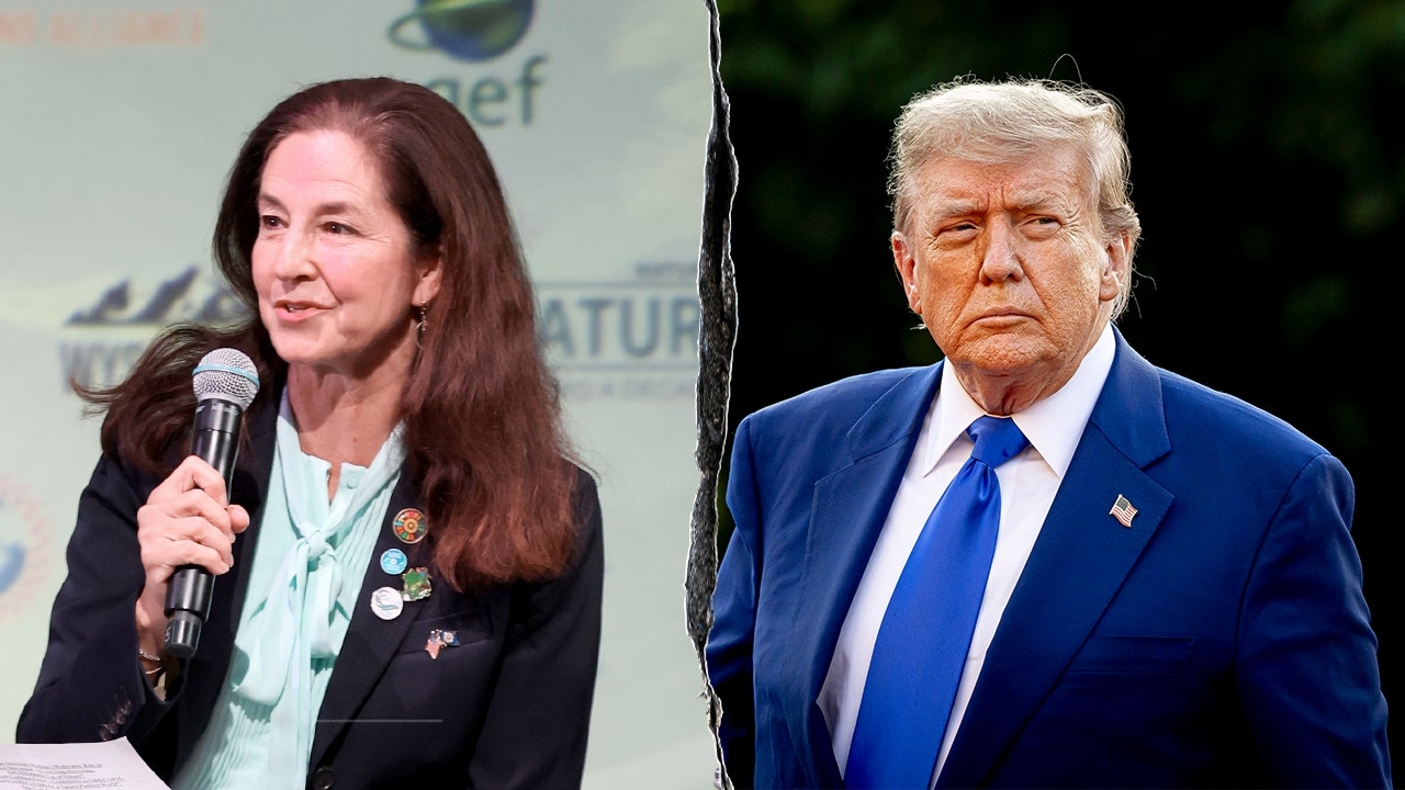Ex-Biden official scolds Trump on climate change after Texas floods