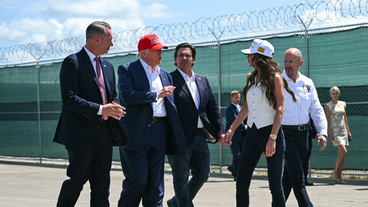 Ex-MSNBC host accuses Trump admin of 'kidnapping' people and 'transporting them to concentration camps'