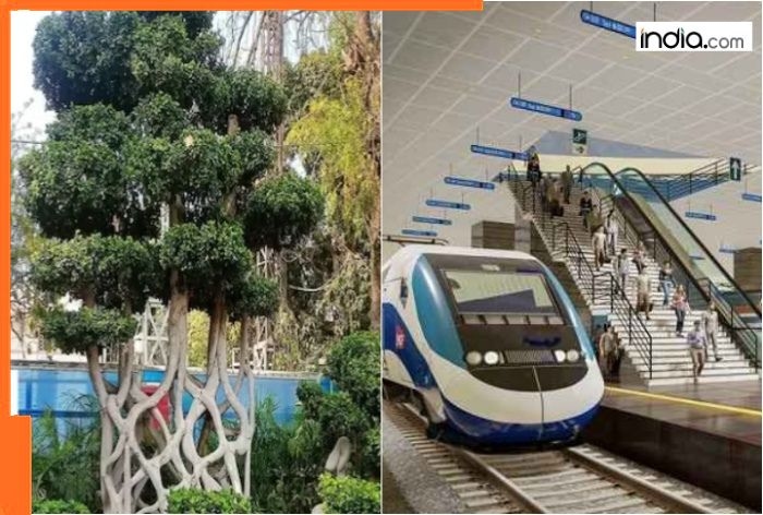This Indian railway station has one tree worth Rs 2500000, it is not in Mumbai, Kolkata, Lucknow, Bengaluru, Chennai, name is…; daily maintenance cost of this tree is a shocking Rs…