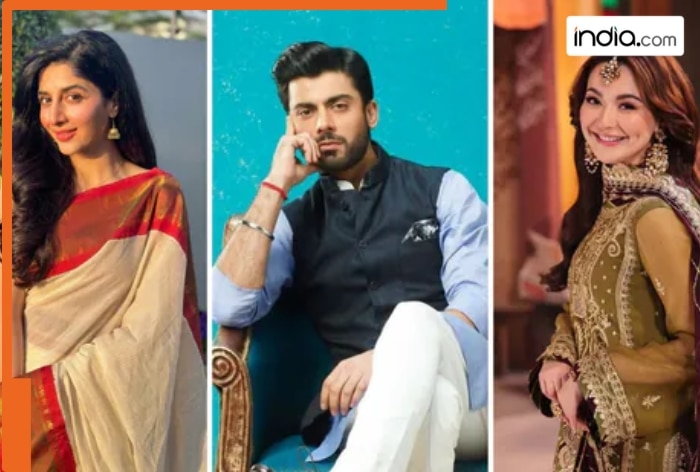 Ban on Pakistani actors' Instagram accounts lifted, leaving internet user wondering why