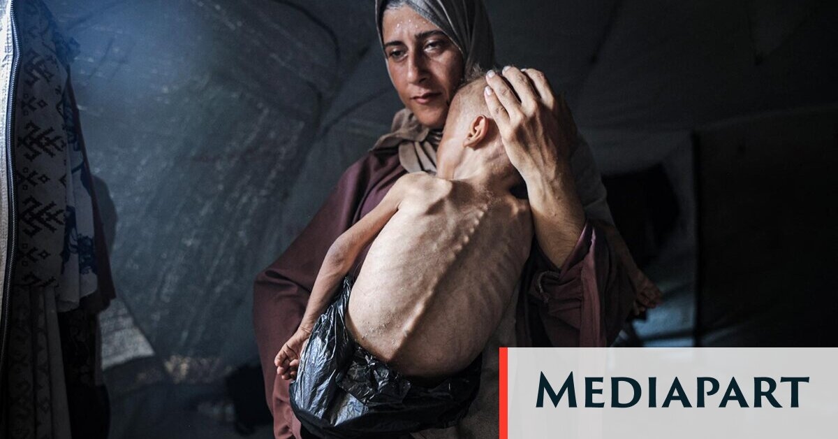 The chronicles of a genocide in Gaza (part four)