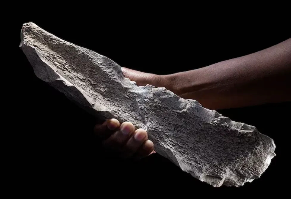 Tools Made from Elephant, Hippo Bones Show Ingenuity of Human Ancestors