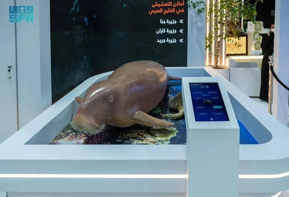 Saudi Arabia's Dugong Protection Efforts Take Center Stage at Environment Week 2025
