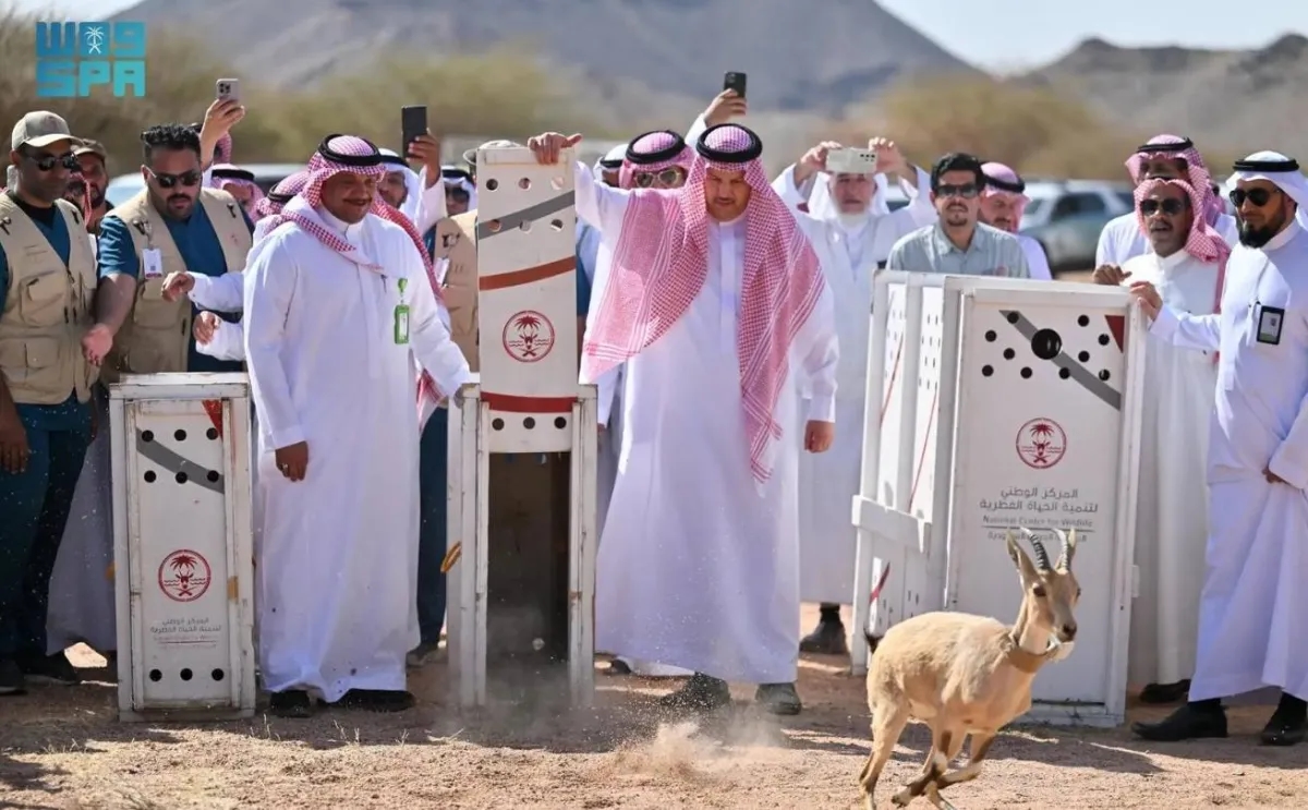 22 Endangered Wildlife Species Released in Madinah's Al-Bayda Park