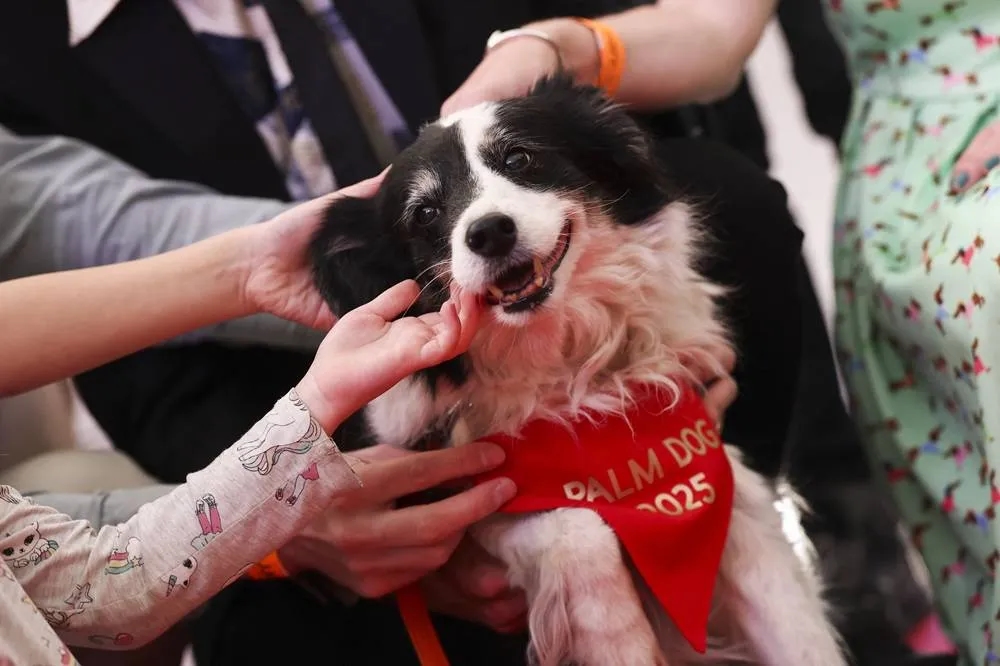 Panda Wins the 2025 Palm Dog Award at Cannes — And a Look-Alike Accepts