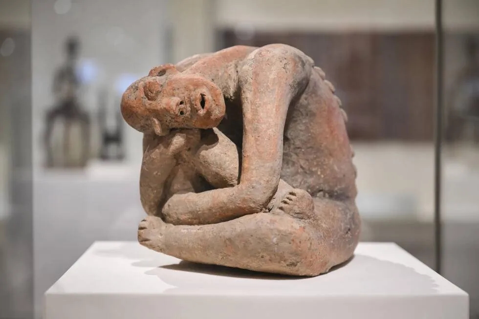 New York's Met Museum Sheds New Light on African Art Collection