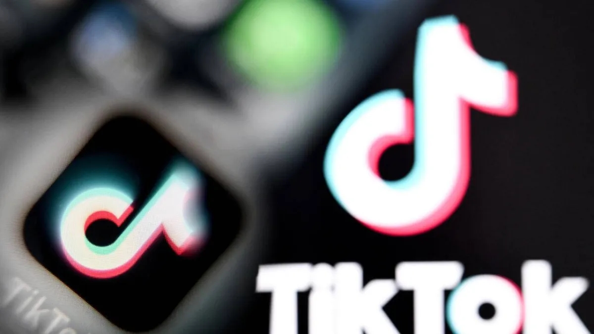 TikTok Says to Increase Investment in Britain
