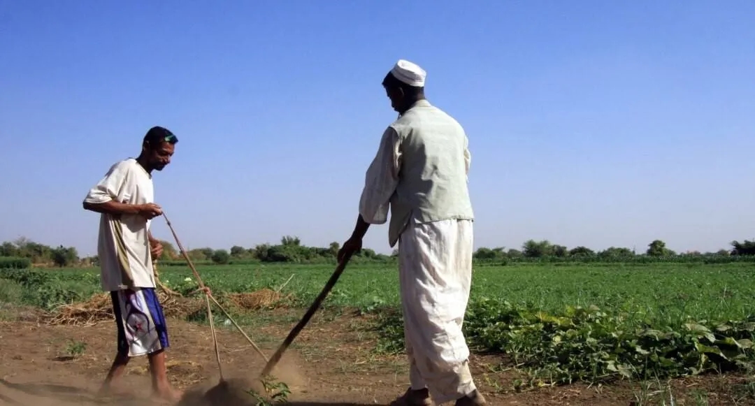مزارعو السودان يعانون من جفاف أراضيهم مع استمرار الحرب