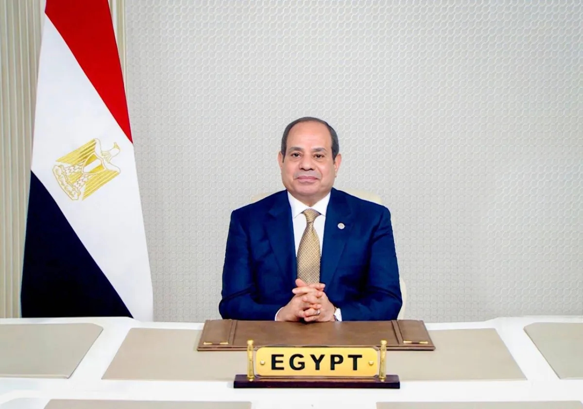 مصر تعزز التعاون مع أفريقيا لمواجهة تحديات القارة