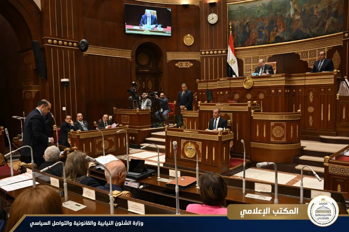 معارضون مصريون ينتقدون «غلبة التعيينات» على التنافس في انتخابات «الشيوخ»