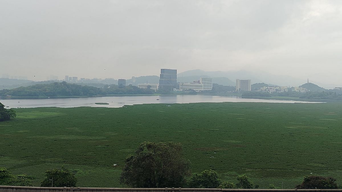 Big win for citizens' campaign as BMC set to finally clean up Powai lake after years of govt inaction