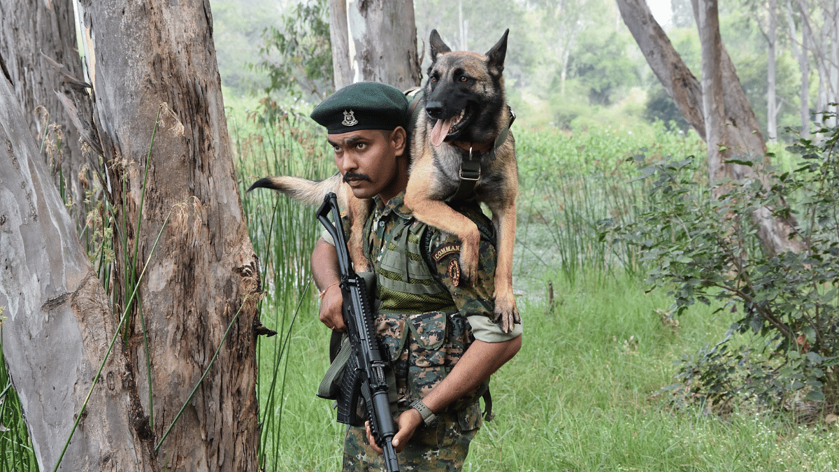 CRPF canine hero Rolo, who lost her life during anti-Naxal op, awarded DG Commendation Disc posthumously