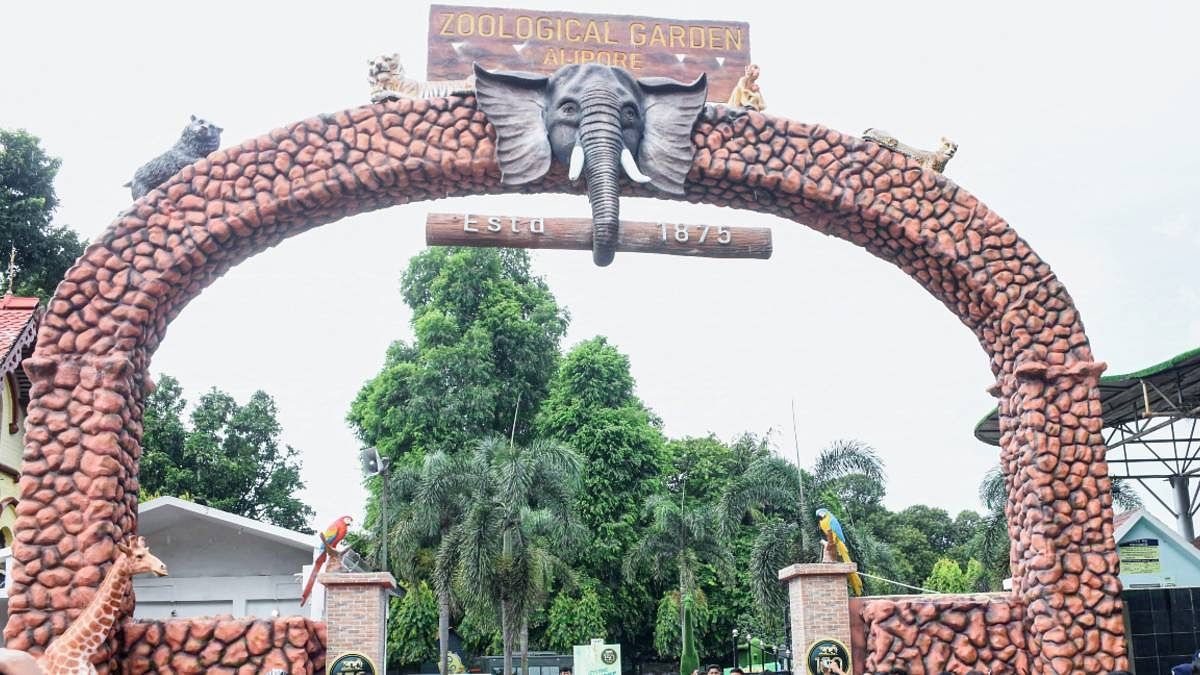 Over 300 animals ‘missing overnight', there's something fishy going on at Kolkata's Alipore Zoo