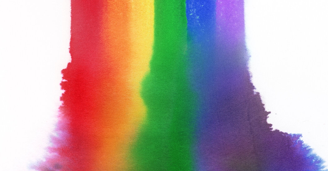 Have Gay Rights Gone Too Far, or Not Far Enough?