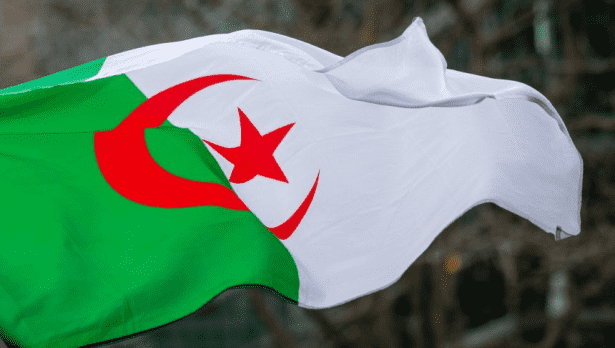 الجزائر تمنع نجل أغنى أغنيائها من التصرف في شركاته