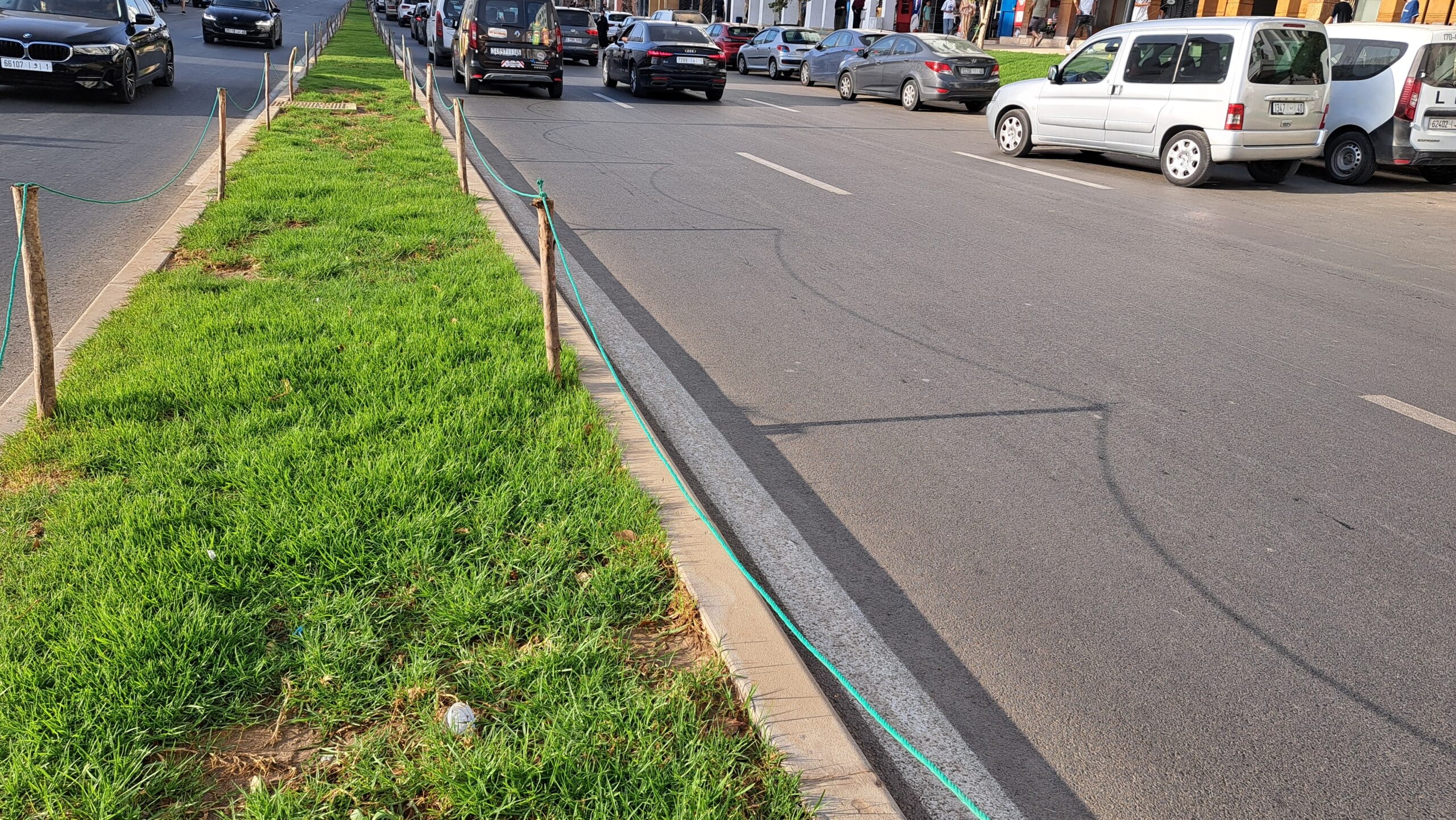 سلوكات بدائية تفرض على طنجة حلولا هشة لحماية المساحات الخضراء