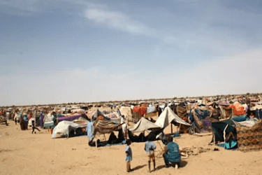تحقيق يكشف التعذيب والإعدامات في سجون فاغنر السرية بمالي