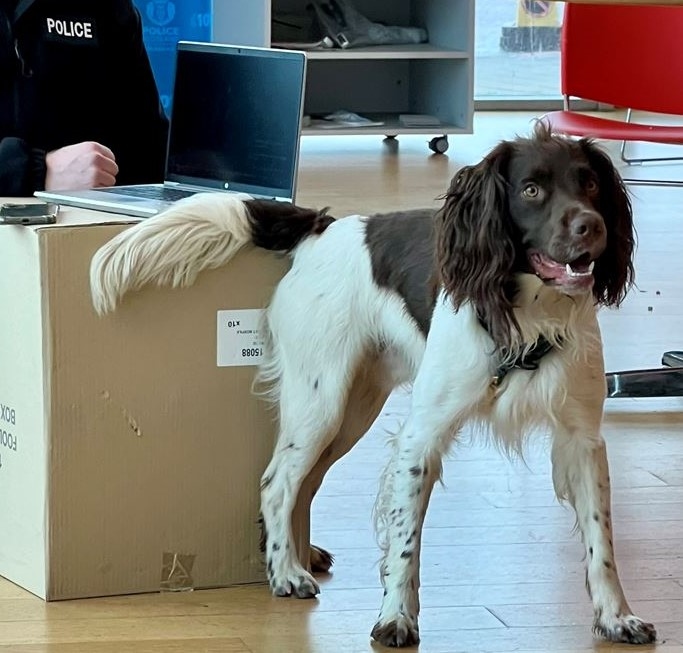 Using digital dogs proves a success for Police Scotland